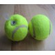 Tennis Ball cache 